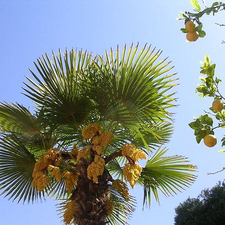 Hotel Ulisse Ischia Esterno foto